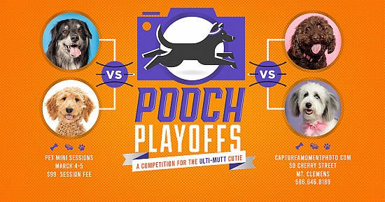 Going on NOW 2023 Pooch Playoffs!